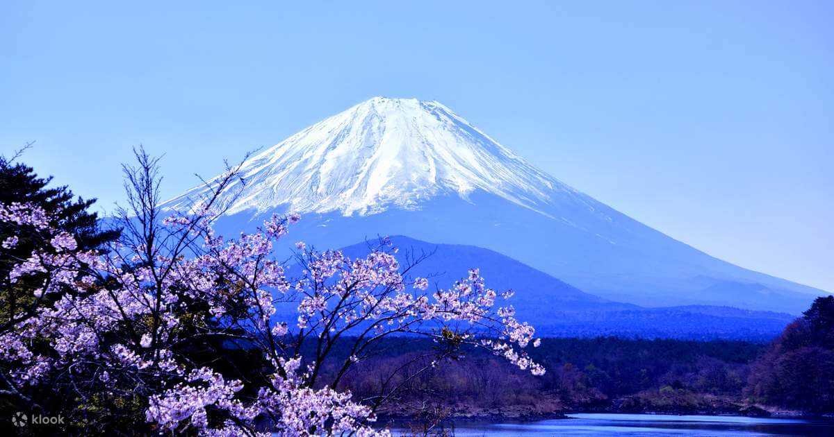 ภูเขาฟูจิ 