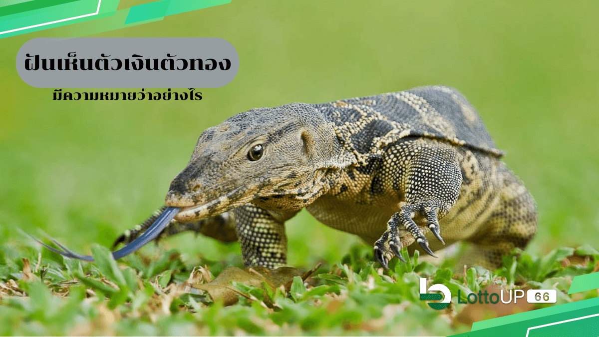 ฝันเห็นตัวเงินตัวทอง