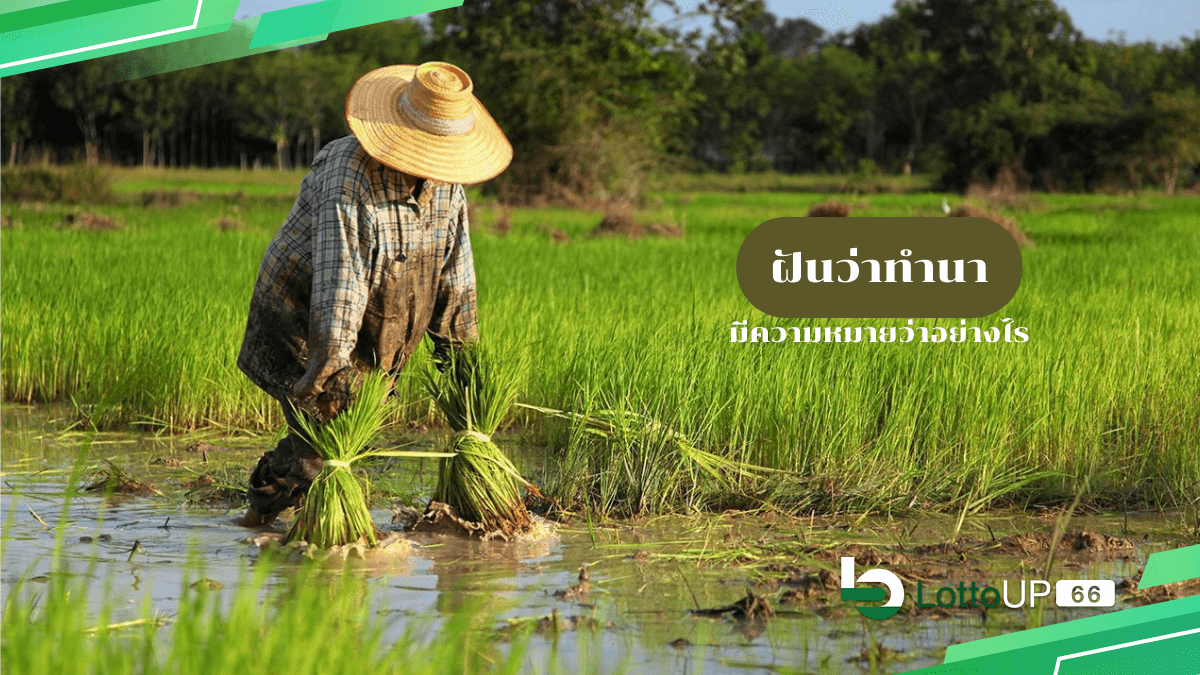 ฝันว่าทำนา